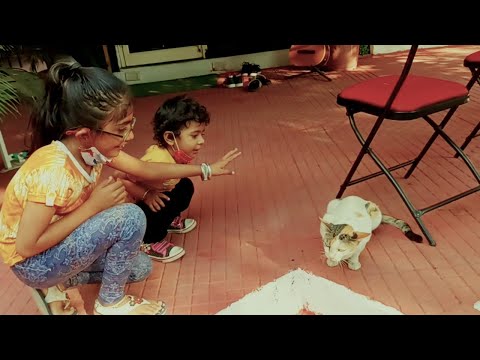 Mihika and Nuvisha Love for cat.