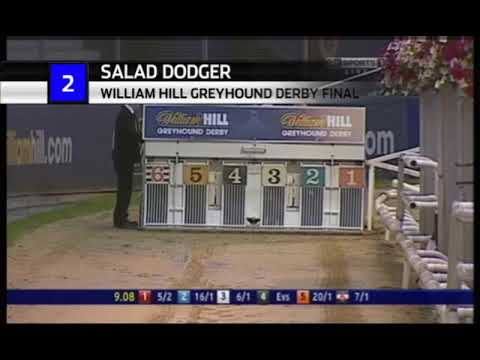 2014 GREYHOUND DERBY FINAL - SALAD DODGER