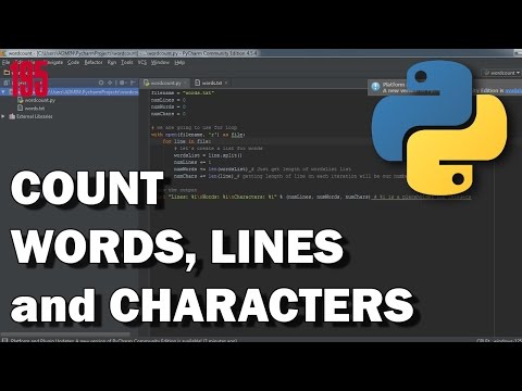 PYTHON Count lines, words and characters in text file