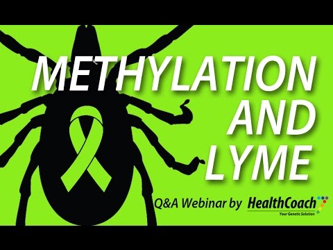 Methylation and Lyme