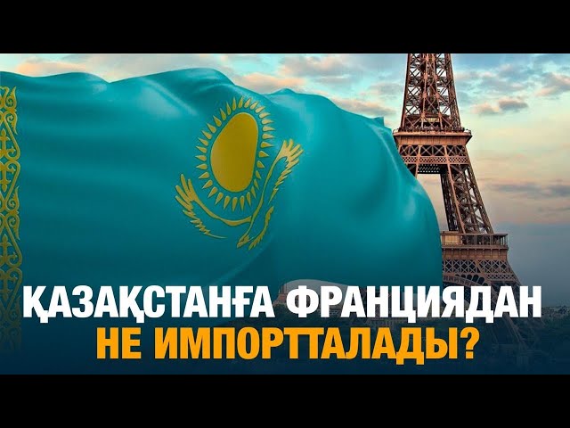 Қазақстанға Франциядан не импортталады?