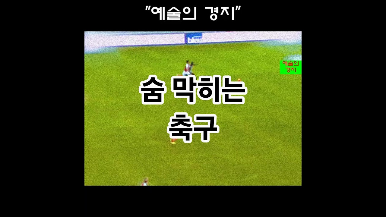 "다시보기 예술"