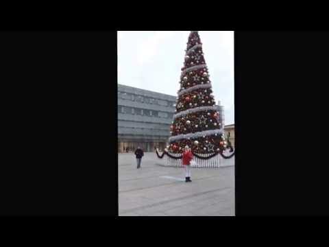 Miss Traveler. Christmas Tree in Kraków, PL