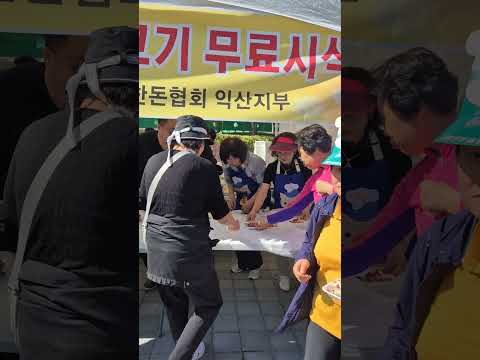 80살시골엄마 오늘 익산 천만송이국화축제