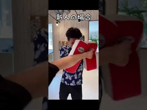 【格闘技ジムあるある】#Shorts【ミット編】