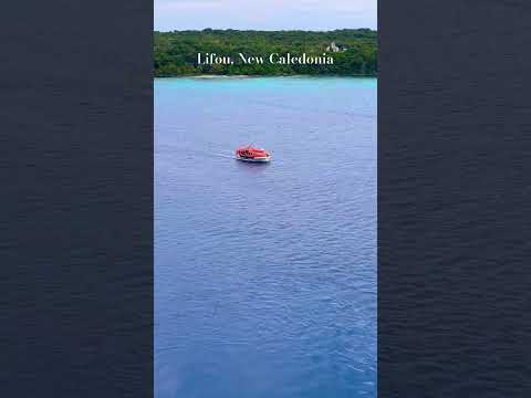 Thumbnail for #lifou #newcaledonia #carnivalsplendor #cruise
