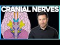 Easiest Way to Remember Cranial Nerves | Corporis