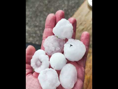 Ein Sommer der Extreme