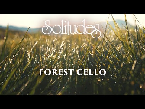 Dan Gibson’s Solitudes - Cool Forest Rain | Forest Cello