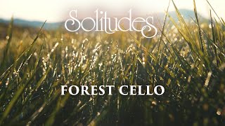 Dan Gibson’s Solitudes - Cool Forest Rain | Forest Cello