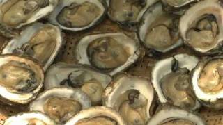 preview picture of video 'Palatéia - O paraiso das ostras'