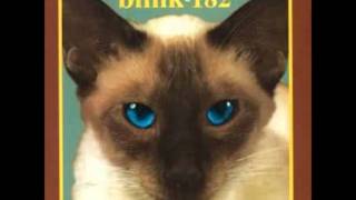 Blink 182 - sometimes