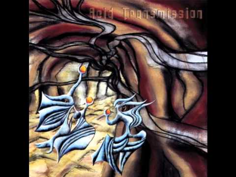 Mind Distortion System - Looking At The Sky