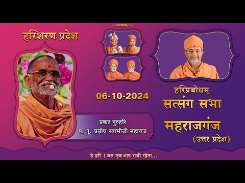 Maharajganj Sabha (Hindi)