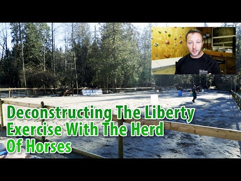 Deconstructing The Liberty Exercise With The Herd Of Horses