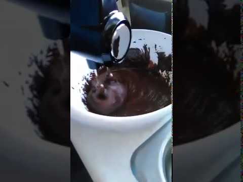 User submitted video