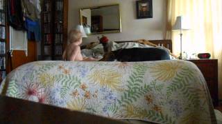 When hand puppets attack, Beagles decide to fight back!