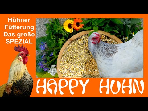 E119 Chicken Feeding - THE SPECIAL with feed recipes - HAPPY CHICKEN - Make your own feed for chi...