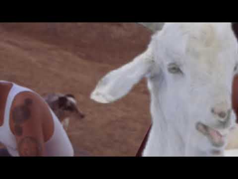 Fifty Shades Of Goat (AYE)