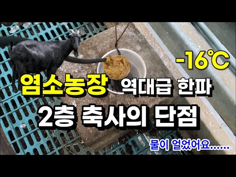, title : '염소농장 2층 축사, 겨울철 수도 관리 (고상식 축사 단점)'