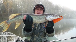 Платная рыбалка щуки в подмосковье щука