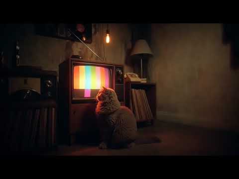 Video thumbnail for Transmission 08