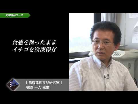 「応用生物学部先端食品コース」研究室紹介ダイジェスト