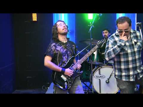 coyote en el gallinero