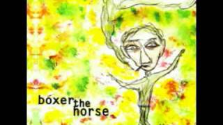 Boxer the Horse - Boneyard