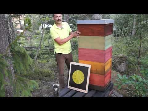 Test bitömmarbotten - del 1: Vi testar en stjärnformad och den rombformad