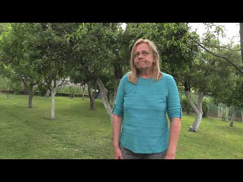 Za oponou ochotníckeho divadla - DS Pri pekárni, Žarnovica