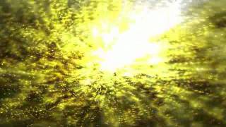 Skrape -  Broken Knees