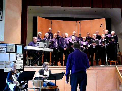 Saxdalens Manskör, Saxdalens Dag 2011