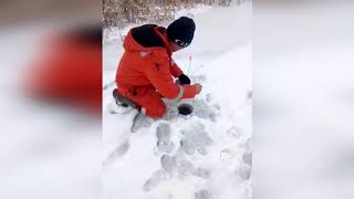 Рыбалка кушум западный казахстан