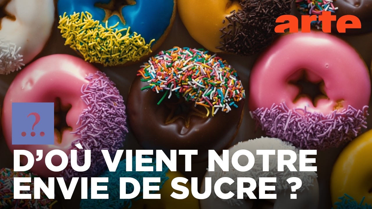 Est-il vrai que nous avons toujours été accros au sucre ? | Est-il vrai que...? | ARTE