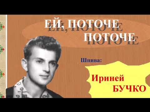 EJ, POTOČE, POTOČE - Irinej BUČKO