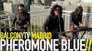 PHEROMONE BLUE - FENCES (BalconyTV)