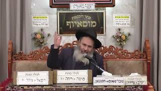 הרב אבנר אליסון | הלכות | מוסאיוף (בית הכנסת מוסאיוף - ערוץ חדש) - התמונה מוצגת ישירות מתוך אתר האינטרנט יוטיוב. זכויות היוצרים בתמונה שייכות ליוצרה. קישור קרדיט למקור התוכן נמצא בתוך דף הסרטון