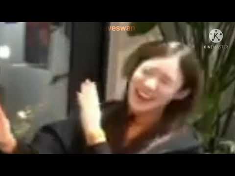 Proof that Blackswan are chaotic icons