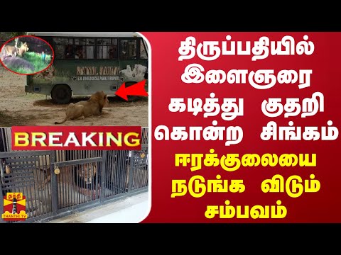 #BREAKING || திருப்பதியில் இளைஞரை கடித்து குதறி கொன்ற சிங்கம் - ஈரக்குலையை நடுங்க விடும் சம்பவம்