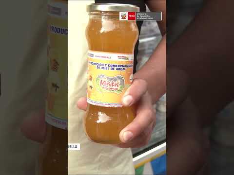 FONCODES: oportunidades económicas a través del proyecto Haku Wiñay en Huancapón, Cajatambo - Lima