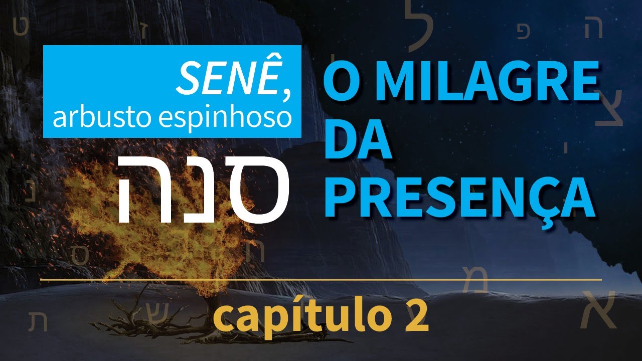 SENÊ, arbusto espinhoso | O milagre da Presença | PARTE 2