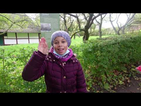 LET'S  TAKE A TOUR OF A GERMAN FARM HOUSE IN THE  1800s | HOW THE GERMANS LIVED IN THE 18th century