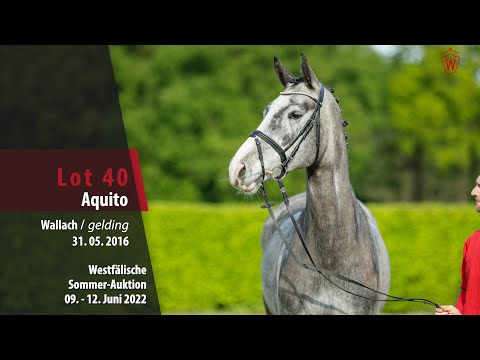 Sommer-Auktion Lot 40 Aquito Wallach v. All Music - Exorbitant xx