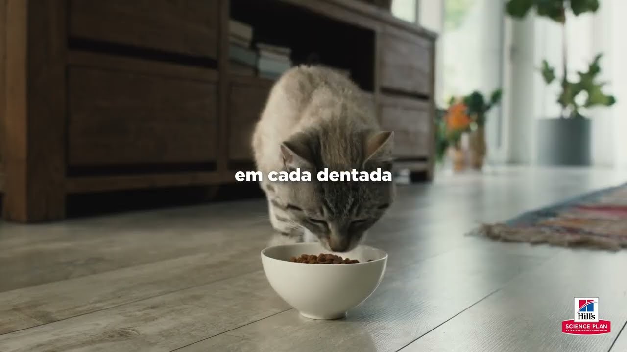 Vídeo do produto