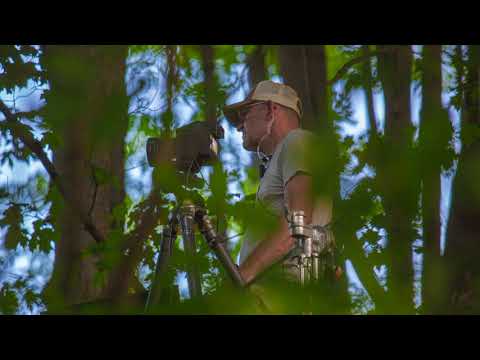 Gregory Crewdson: An Eclipse of Moths - The Making Of Funerary Back Lot, 2018-2019