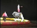 Incredible Bareback Horse And Rosinback Rider Ricky Suarez