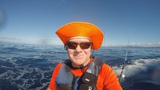 Alderman Pins Kingfish Expedition Dolphin Interlude