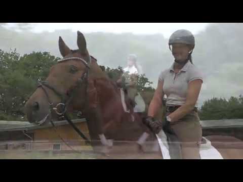 Wallach v. Ehrenstolz x Lauries Crusador xx, *2014