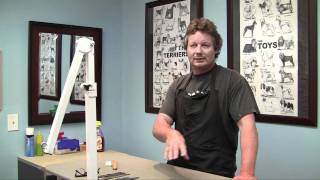 Dog Grooming Career Job Outlook | Chicago Dog Grooming School